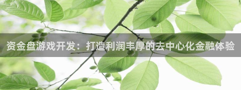 沐鸣注册网站官网：资金盘游戏开发：打造利